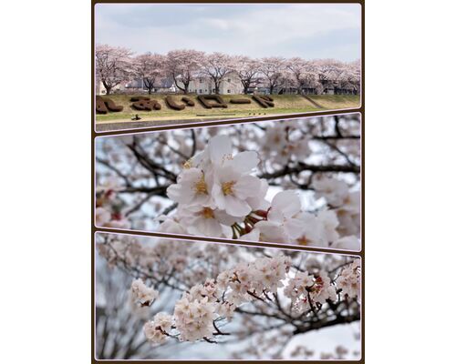 F3311E8D-D18C-41C7-A3C6-A30B098967EB