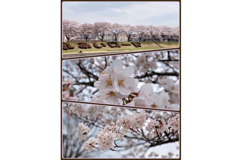 F3311E8D-D18C-41C7-A3C6-A30B098967EB