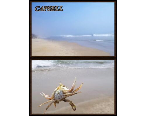 94D076B6-D5DB-4EEA-B271-B32EDB62344B